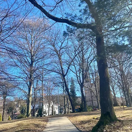 Krkonosska
